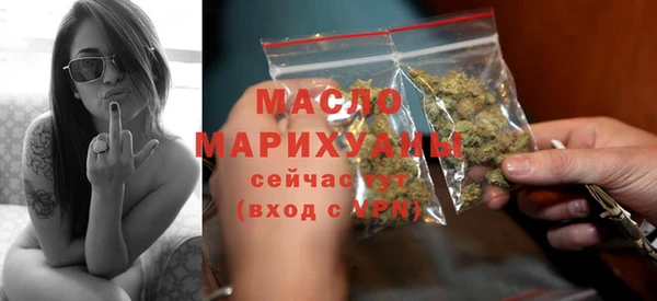 индика Гусиноозёрск