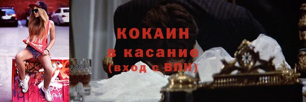 стаф Гусь-Хрустальный