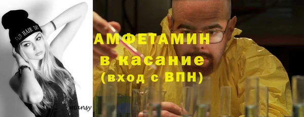 индика Гусиноозёрск