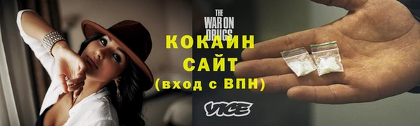 индика Гусиноозёрск