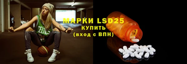 индика Гусиноозёрск