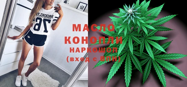 стаф Гусь-Хрустальный