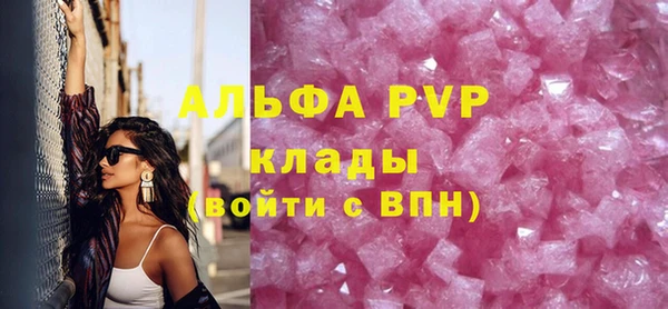 индика Гусиноозёрск