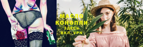индика Гусиноозёрск