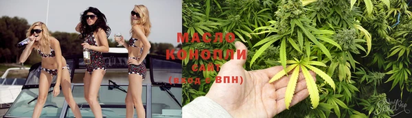 стаф Гусь-Хрустальный