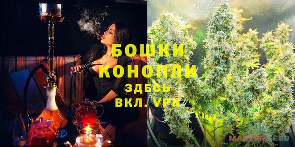 индика Гусиноозёрск