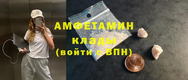 стаф Гусь-Хрустальный