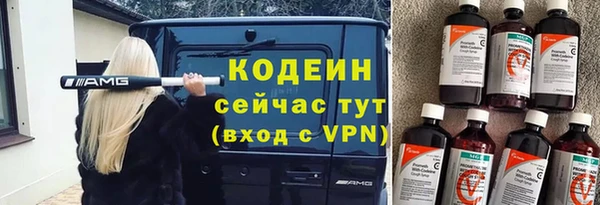 индика Гусиноозёрск
