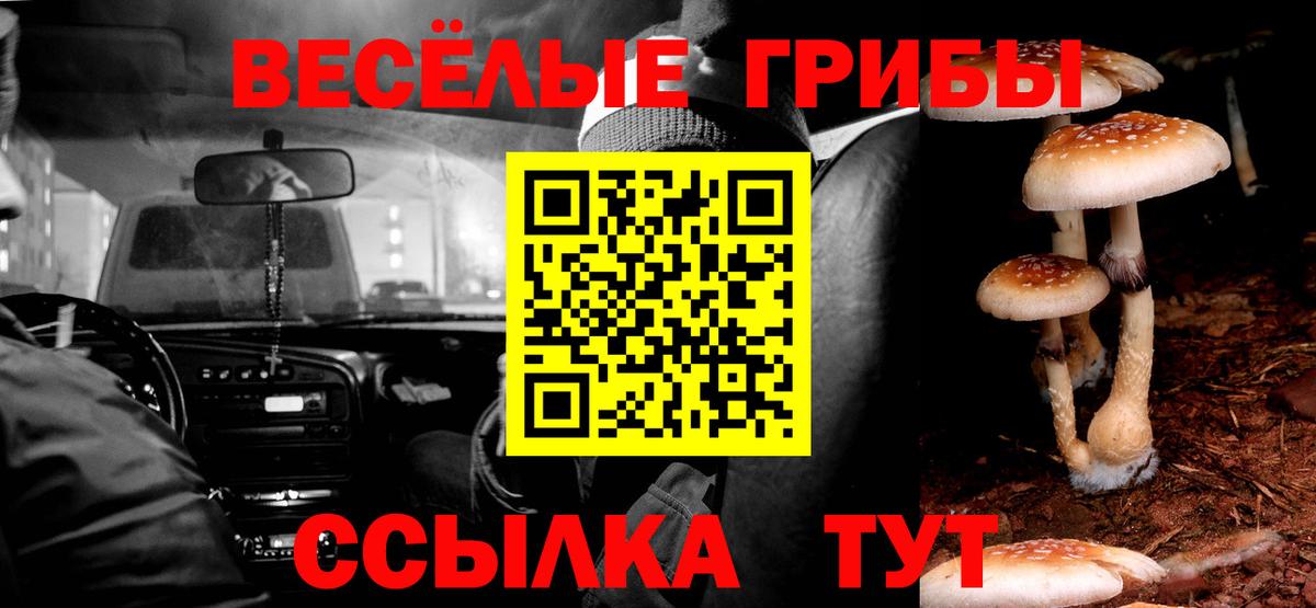 даркнет сайт  Можайск  Галлюциногенные грибы MAGIC MUSHROOMS 
